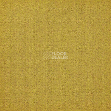 Ковровая плитка Modulyss 24 First Forward First Forward 210 фото 1 | FLOORDEALER